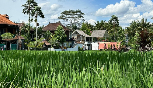 Review Restoran Vegetarian Organik di Ubud Bali