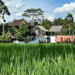 Review Restoran Vegetarian Organik di Ubud Bali